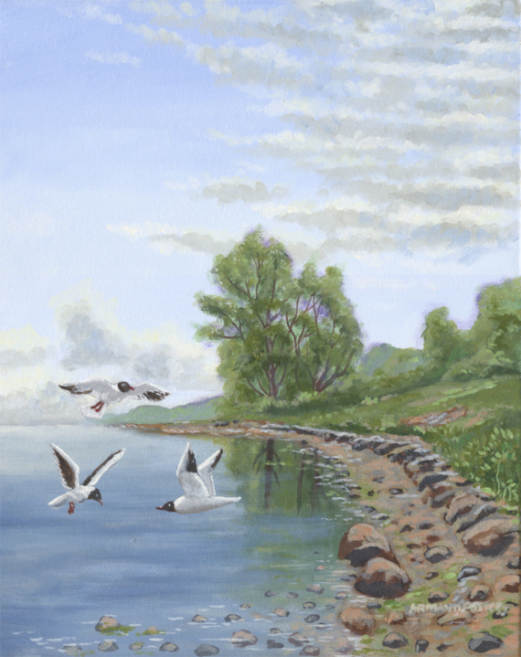 Estuary Gulls Oil Painting Estuary Gulls Oil Painting