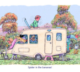 Spider