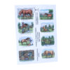 Horses & Ponies A6 Notelet Pack - Front