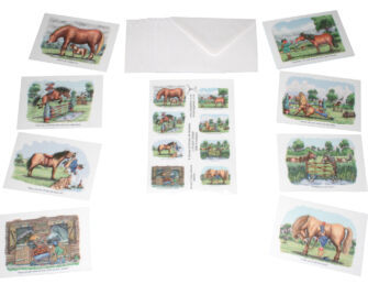 Horses & Ponies A6 Notelet Pack