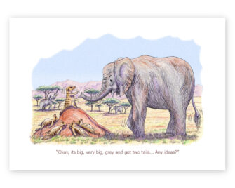 Elephant - Wall Print