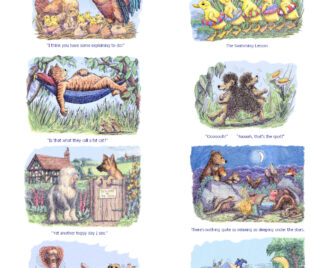 Animals A6 Notelet Pack - Designs