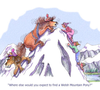 Welsh mountain pony