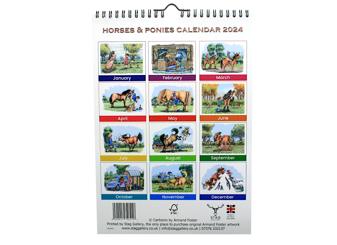 Horses & Ponies 2024 Calendar Stag Gallery