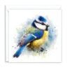 Blue Tit Splash Effect Water Colour - Main