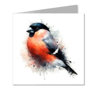 Bullfinch Splash Effect Water Colour - Folded