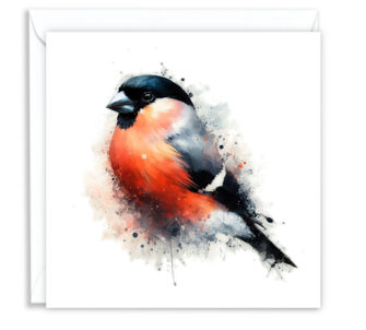 Bullfinch Splash Effect Water Colour - Main