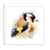 Goldfinch Splash Effect Water Colour - Main