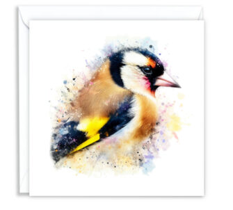 Goldfinch Splash Effect Water Colour - Main