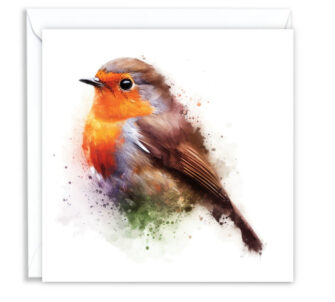 Robin Splash Effect Water Colour - Main