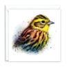 Yellowhammer Splash Effect Water Colour - Main