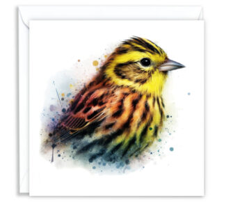 Yellowhammer Splash Effect Water Colour - Main