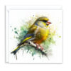 Greenfinch Splash Effect Water Colour - Main