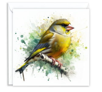 Greenfinch Splash Effect Water Colour - Main