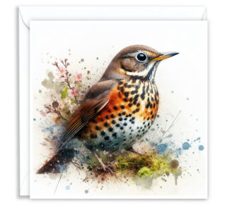 Thrush Splash Effect Water Colour - Main