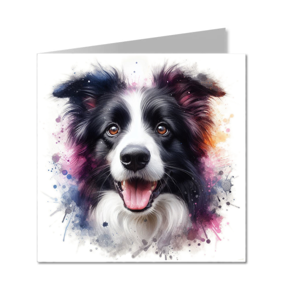 Border Collie 2 - Folded
