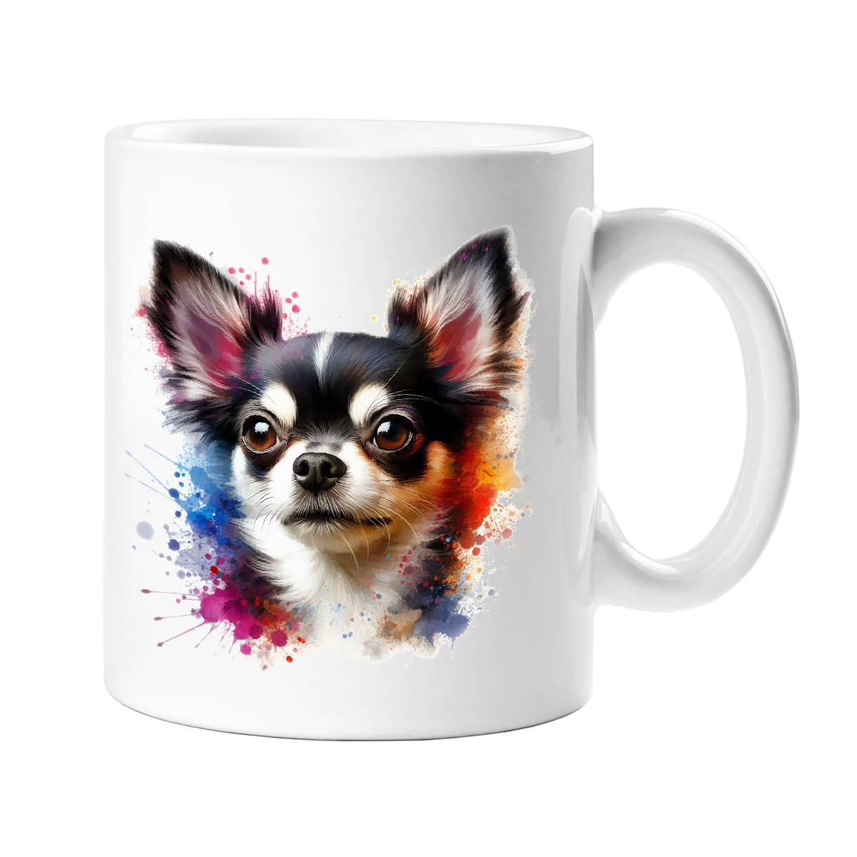 Chihuahua - LS