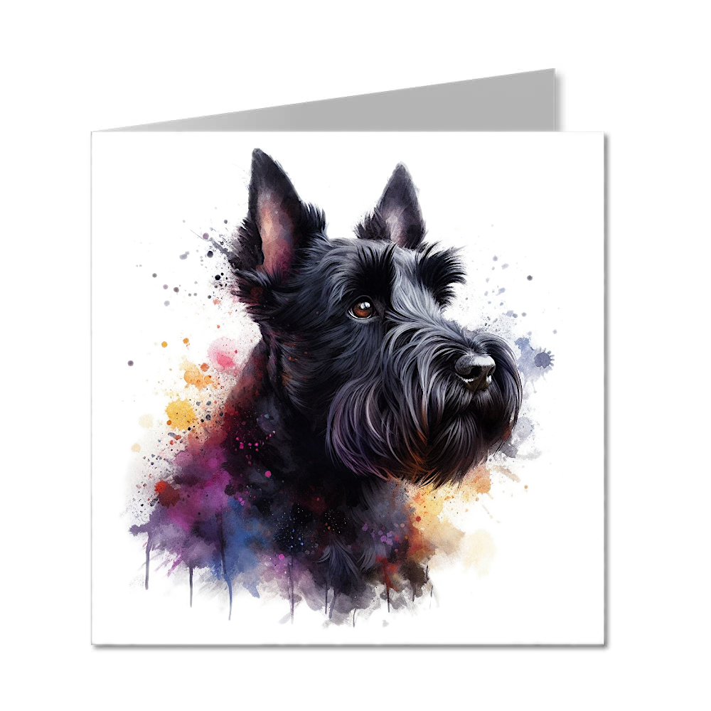 Scottish Terrier - Folded