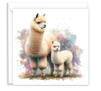 Alpaca & Cria 01