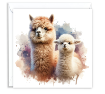 Alpaca & Cria 02