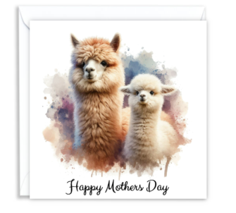Alpaca & Cria 02 - Mothers Day