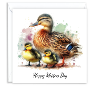 Duck & Ducklings 01 - Mothers Day