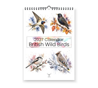 British Wild Birds Watercolour 2027 Calendar